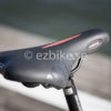 EZbike 250W - Bild 5